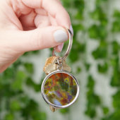 Rainbow Petrified Wood Sleutelhanger (Hand)