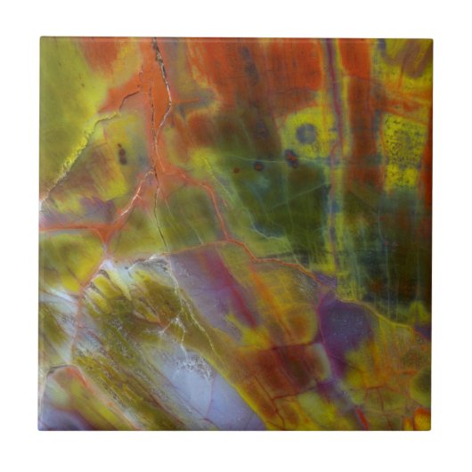 Rainbow Petrified Wood Tegeltje (Voorkant)