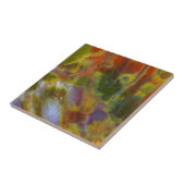 Rainbow Petrified Wood Tegeltje (Zijkant)