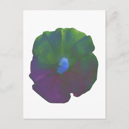 Rainbow Petunia Briefkaart (Voorkant)