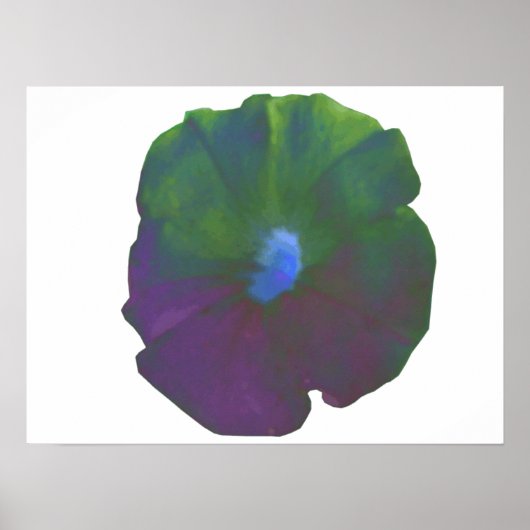 Rainbow Petunia Poster (Voorkant)