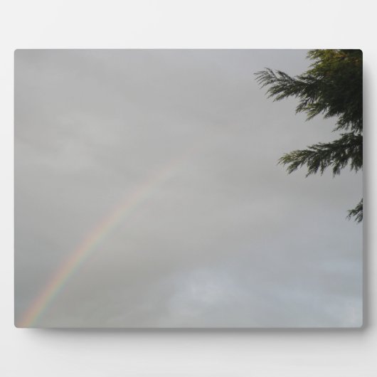 Rainbow Plaque Fotoplaat (Voorkant)