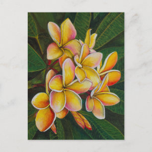 Rainbow Plumeria Briefkaart