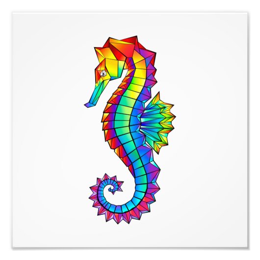 Rainbow Polygonal Seahorse Foto Afdruk (Voorkant)