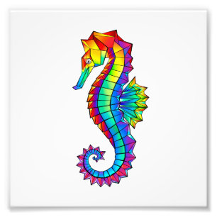 Rainbow Polygonal Seahorse Foto Afdruk
