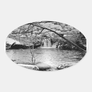 RAINBOW POOL, NEAU JEUGD: BARE BRANCHES #11 OVALE STICKER