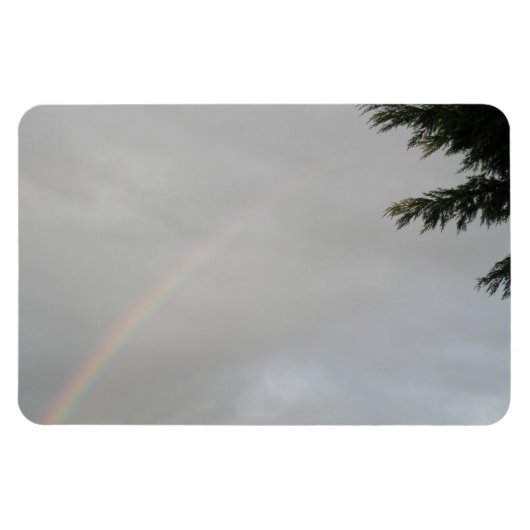 Rainbow Premium Magnet Magneet (Horizontaal)