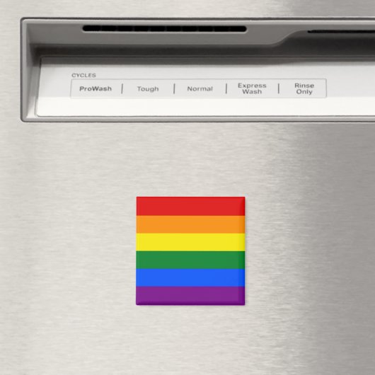 Rainbow Pride Flag Magnet Magneet (Insitu (Vaatwasser))