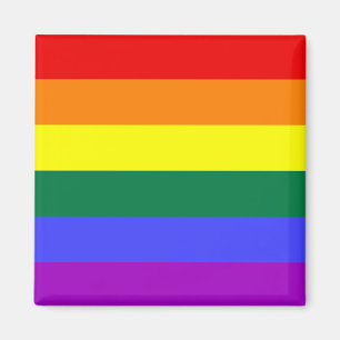 Rainbow Pride Flag Magnet Magneet