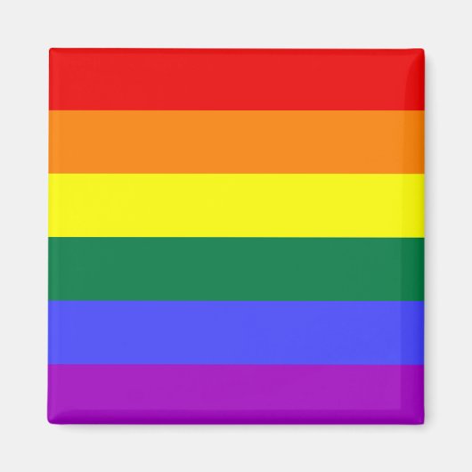 Rainbow Pride Flag Magnet Magneet (Voorkant)