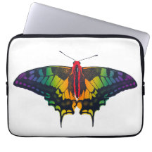 Rainbow Pride Flag Swallowtail Butterfly