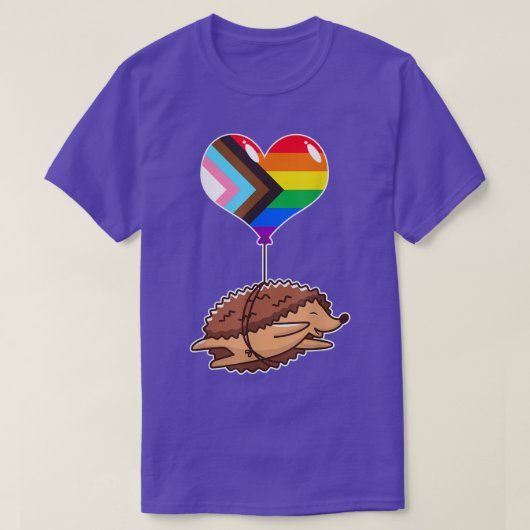 Rainbow Progress Hedegel seual Identity Nonbina T-shirt (Design voorkant)