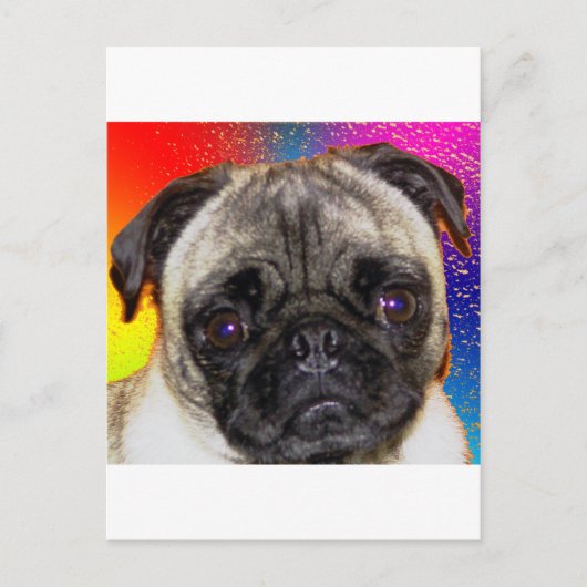 Rainbow Pug Briefkaart (Voorkant)