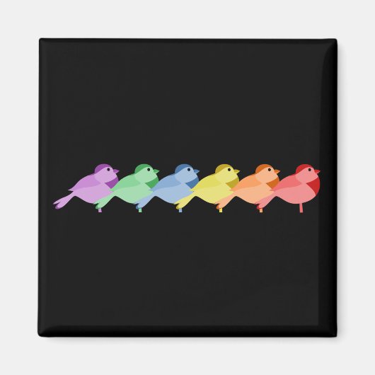 Rainbow Robins Magneet (Voorkant)