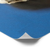 Rainbow Roll Sushi Poster (Hoek)