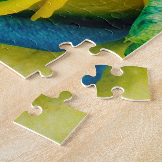 Rainbow Roses Challenge Puzzle 16" x 20" (Côté)