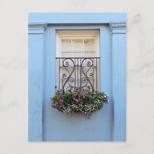 Rainbow Row Flower Box, Charleston, S.C. Briefkaart (Voorkant)