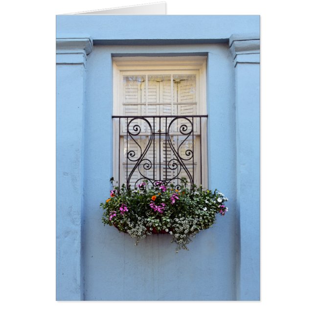 Rainbow Row Window Flower Box, Charleston, S.C. (Voorkant)