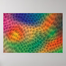 Rainbow Scales-poster