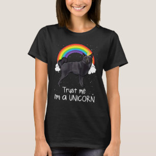 Rainbow Schipperke Vertrouw Me Ik Ben Een Eenhoorn T-shirt