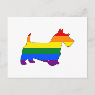 Rainbow Scottish Terrier Briefkaart