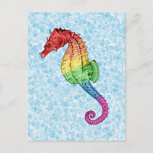 Rainbow Seahorse Briefkaart (Voorkant)