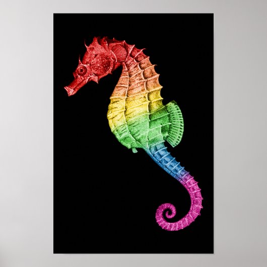 Rainbow Seahorse Poster (Voorkant)
