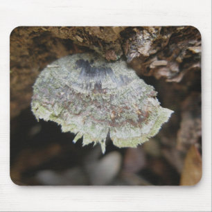 Rainbow Shelf Fungus Mousepad Muismat