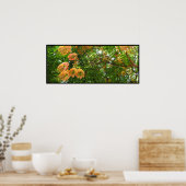 Rainbow Shower Tree Hawaii Poster Prints (Cuisine)