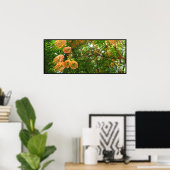 Rainbow Shower Tree Hawaii Poster Prints (Bureau à domicile)