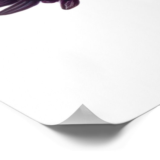 Rainbow Skull Garden Poster (Hoek)