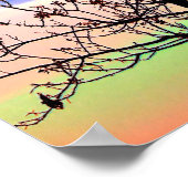 Rainbow Sky Barren Tree Poster (Hoek)