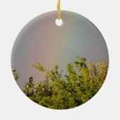 Rainbow Sky Ornament (Achterkant)