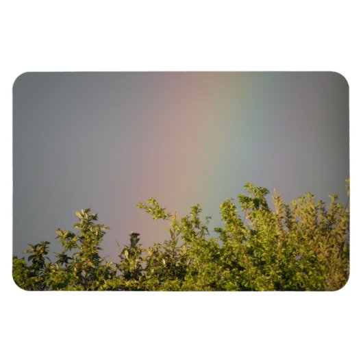 Rainbow Sky Premium Magnet Magneet (Horizontaal)