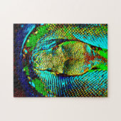 Rainbow Snake Legpuzzel (Horizontaal)