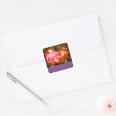 Rainbow Sorbet Roos #2 Sticker (Envelop)