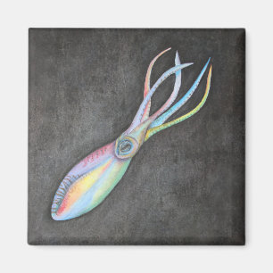 Rainbow Squid Magnet Magneet