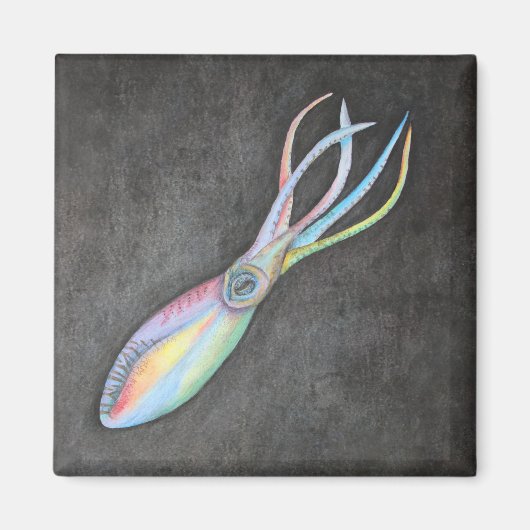 Rainbow Squid Magnet Magneet (Voorkant)
