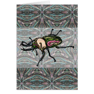 Rainbow Stag Beetle