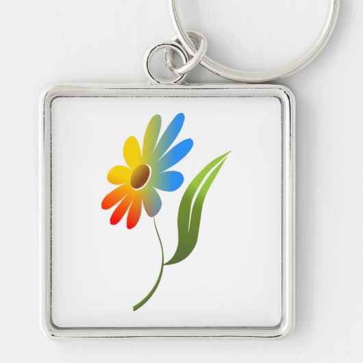 RAINBOW-STROOM SLEUTELHANGER (Voorkant)