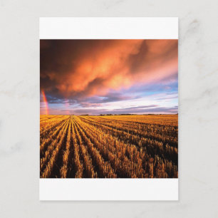 Rainbow Stubble Field Saskatchewan Canada Briefkaart