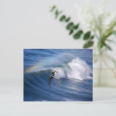 Rainbow sur une carte postale de surfer californie (Debout devant)