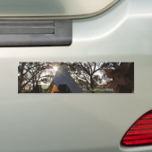 Rainbow Surrounds Bumpersticker (Op auto)