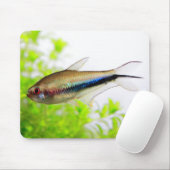 Rainbow Tetra Muismat (Met muis)