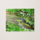 Rainbow Tree Puzzle Legpuzzel (Horizontaal)