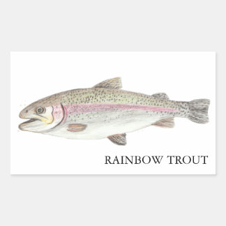 Rainbow Trout ニジマス Rechthoekige Sticker