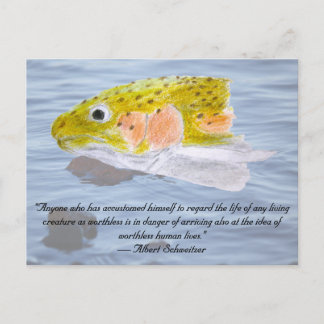 Rainbow Trout Colored Pencil and Quote Postcard Briefkaart