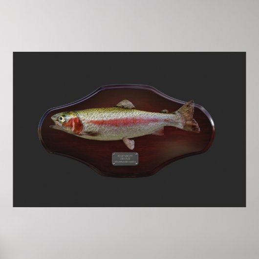Rainbow Trout Display Plaque Poster (Voorkant)