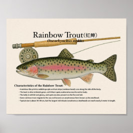 Rainbow Trout – English Art Print