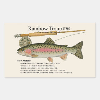 Rainbow Trout (Oncorhynchus mykiss) – Fish Illust Rechthoekige Sticker